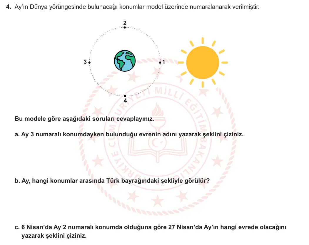5. Sınıf Fen Bilimleri 2024-2025 1. Dönem 1. Yazılı 4. Soru görseli