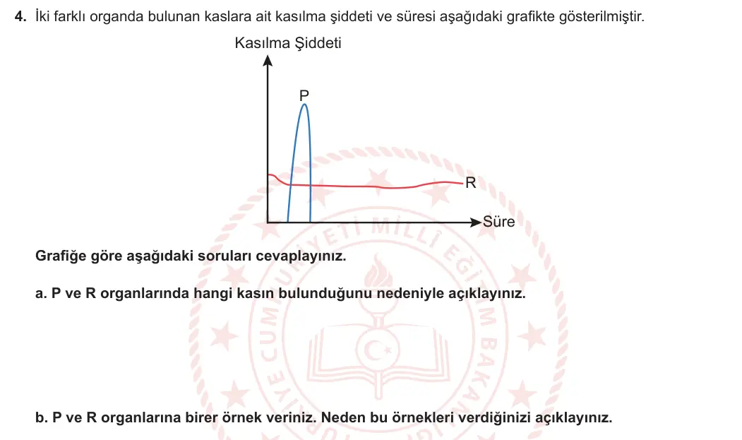 6. Sınıf Fen Bilimleri 2024-2025 1. Dönem 1. Yazılı 4. Soru görseli