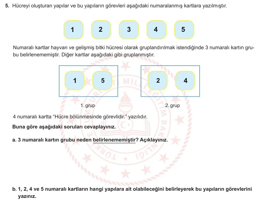 7. Sınıf Fen Bilimleri 2024-2025 1. Dönem 1. Yazılı 5. Soru görseli (1/2)