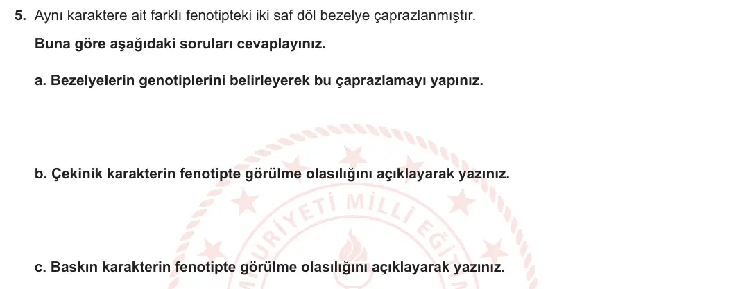 8. Sınıf Fen Bilimleri 2024-2025 1. Dönem 1. Yazılı 5. Soru görseli (1/2)