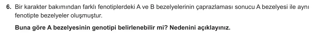 8. Sınıf Fen Bilimleri 2024-2025 1. Dönem 1. Yazılı 6. Soru görseli