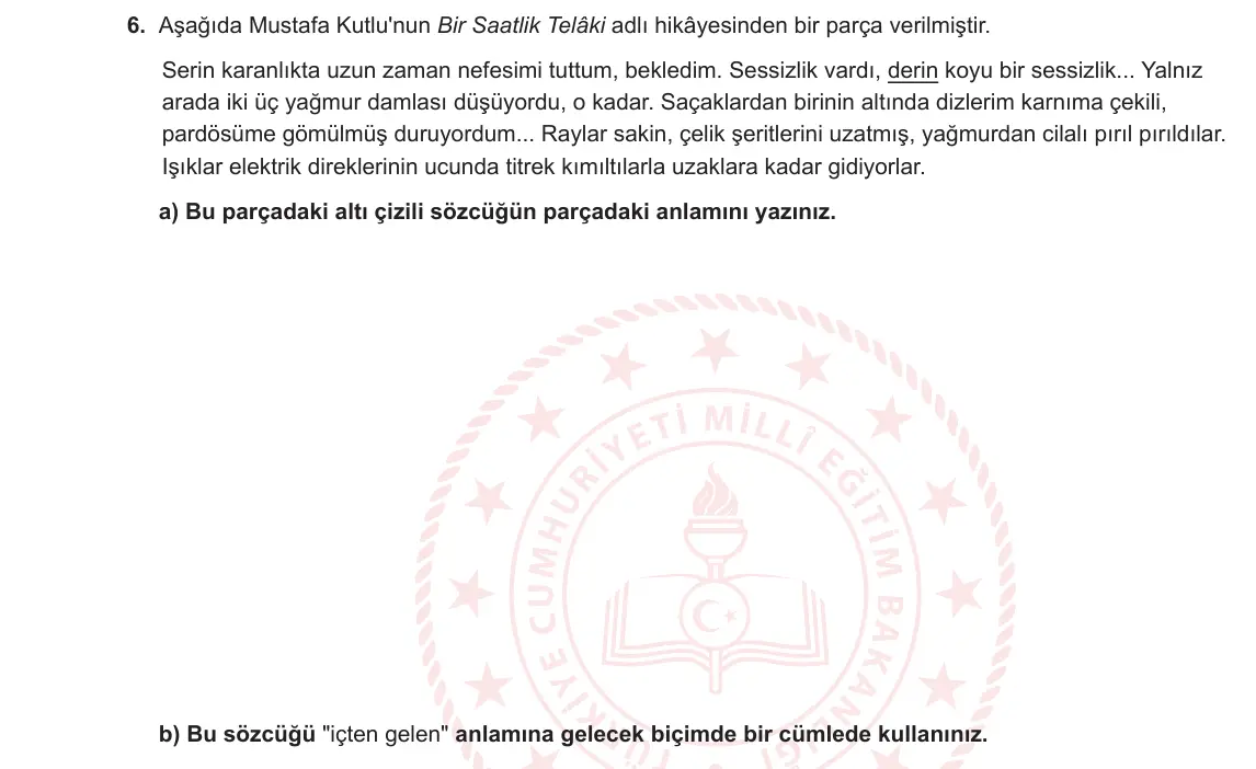 12. Sınıf Türk Dili ve Edebiyatı 2024-2025 1. Dönem 1. Yazılı 6. Soru görseli