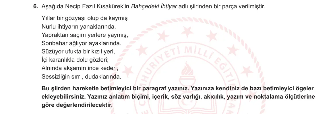 9. Sınıf Türk Dili ve Edebiyatı 2024-2025 1. Dönem 1. Yazılı 6. Soru görseli