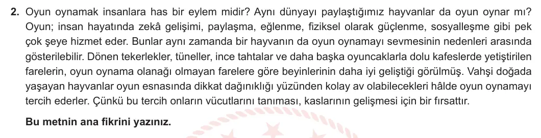 5. Sınıf Türkçe 2024-2025 1. Dönem 1. Yazılı 2. Soru görseli