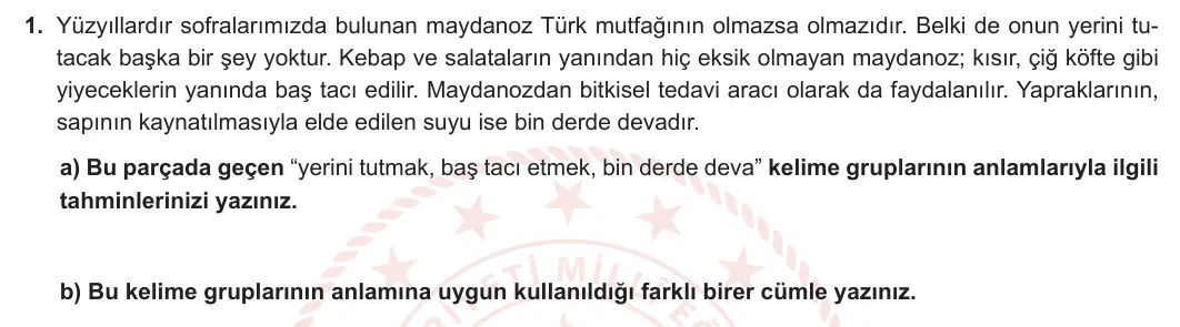 6. Sınıf Türkçe 2024-2025 1. Dönem 1. Yazılı 1. Soru (MEB Yayınları) görseli