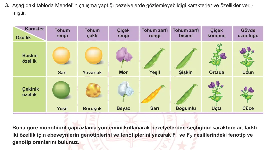10. Sınıf Biyoloji 2024-2025 1. Dönem 2. Yazılı 3. Soru görseli (1/2)