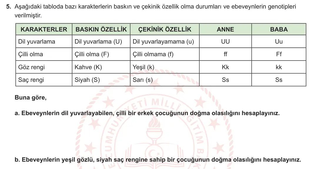 10. Sınıf Biyoloji 2024-2025 1. Dönem 2. Yazılı 5. Soru görseli
