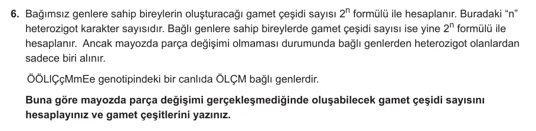 10. Sınıf Biyoloji 2024-2025 1. Dönem 2. Yazılı 6. Soru görseli