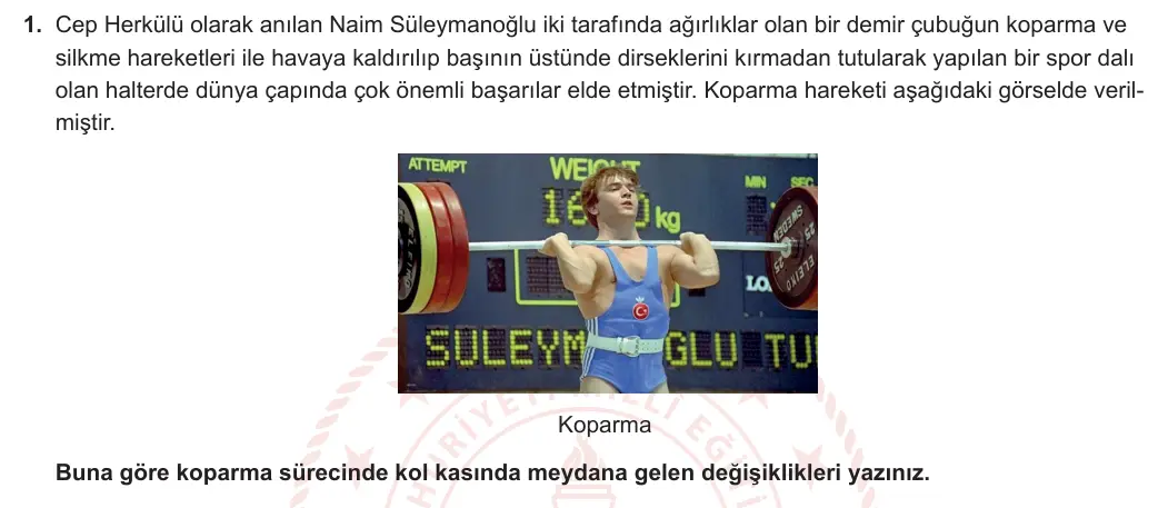 11. Sınıf Biyoloji 2024-2025 1. Dönem 2. Yazılı 1. Soru görseli (1/2)