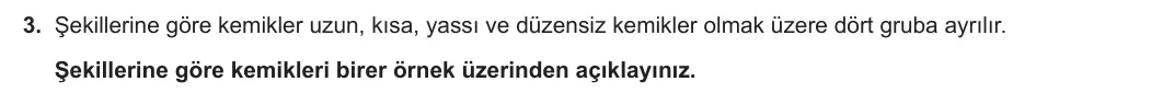 11. Sınıf Biyoloji 2024-2025 1. Dönem 2. Yazılı 3. Soru görseli (1/2)
