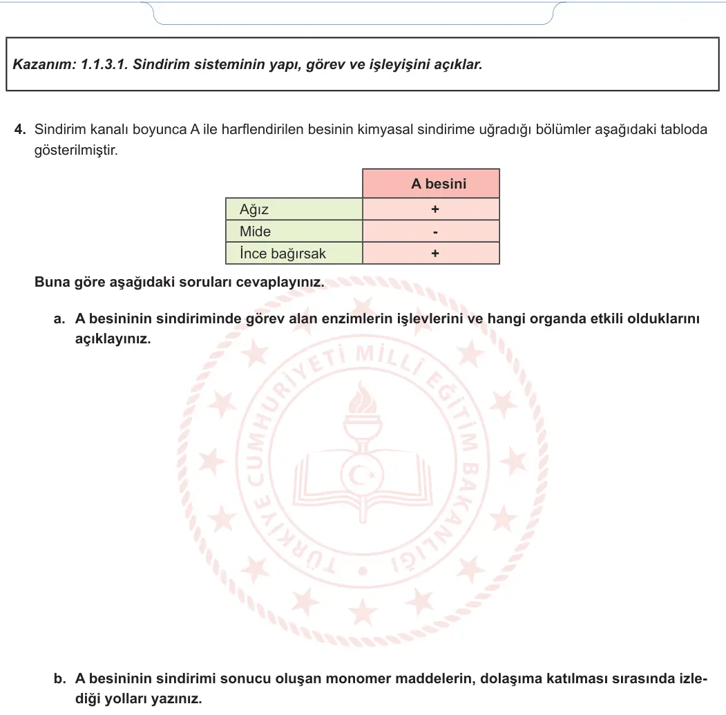 11. Sınıf Biyoloji 2024-2025 1. Dönem 2. Yazılı 3. Soru görseli (2/2)