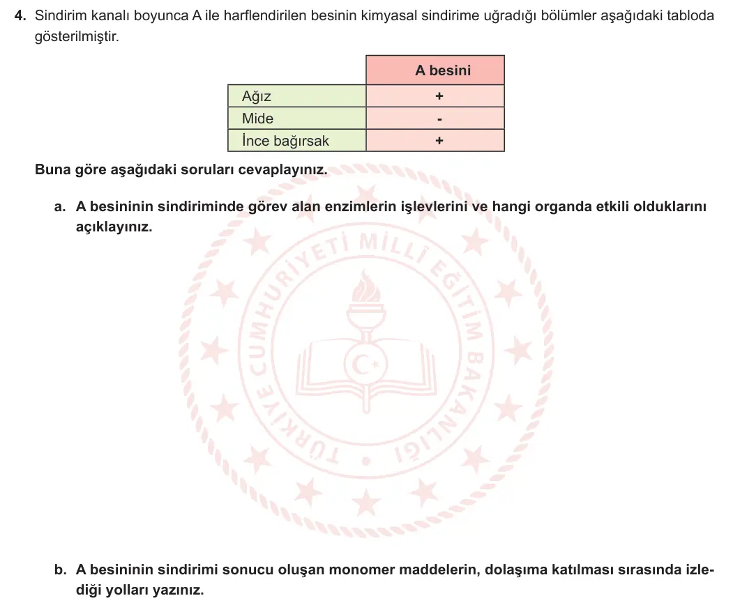 11. Sınıf Biyoloji 2024-2025 1. Dönem 2. Yazılı 4. Soru görseli (1/2)