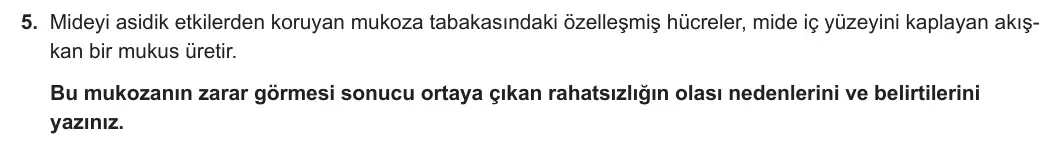 11. Sınıf Biyoloji 2024-2025 1. Dönem 2. Yazılı 5. Soru görseli