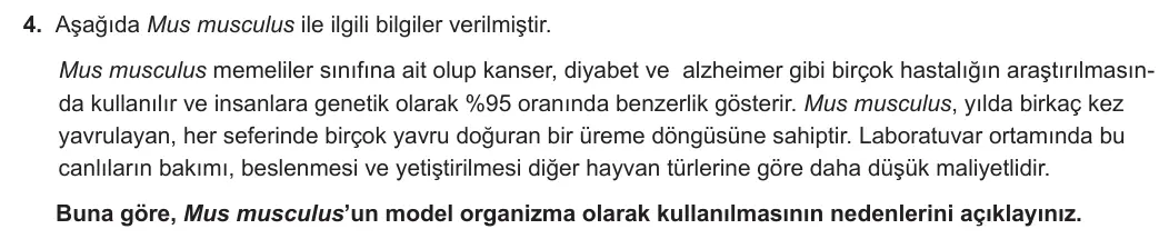 12. Sınıf Biyoloji 2024-2025 1. Dönem 2. Yazılı 4. Soru görseli