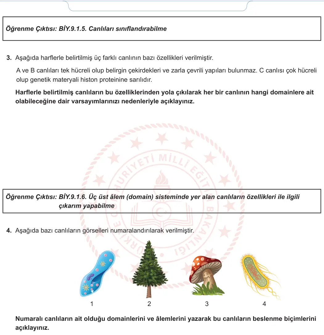 9. Sınıf Biyoloji 2024-2025 1. Dönem 2. Yazılı 2. Soru görseli (2/2)