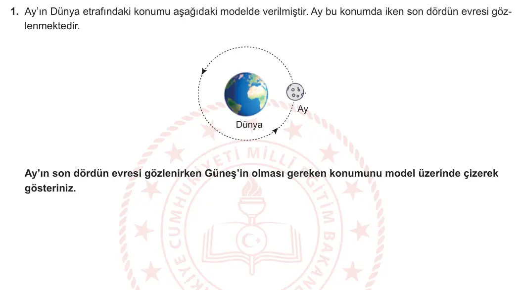 5. Sınıf Fen Bilimleri 2024-2025 1. Dönem 2. Yazılı 1. Bölüm 1. Soru görseli