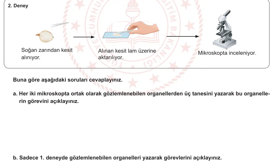 5. Sınıf Fen Bilimleri 2024-2025 1. Dönem 2. Yazılı 2. Bölüm 2. Soru görseli