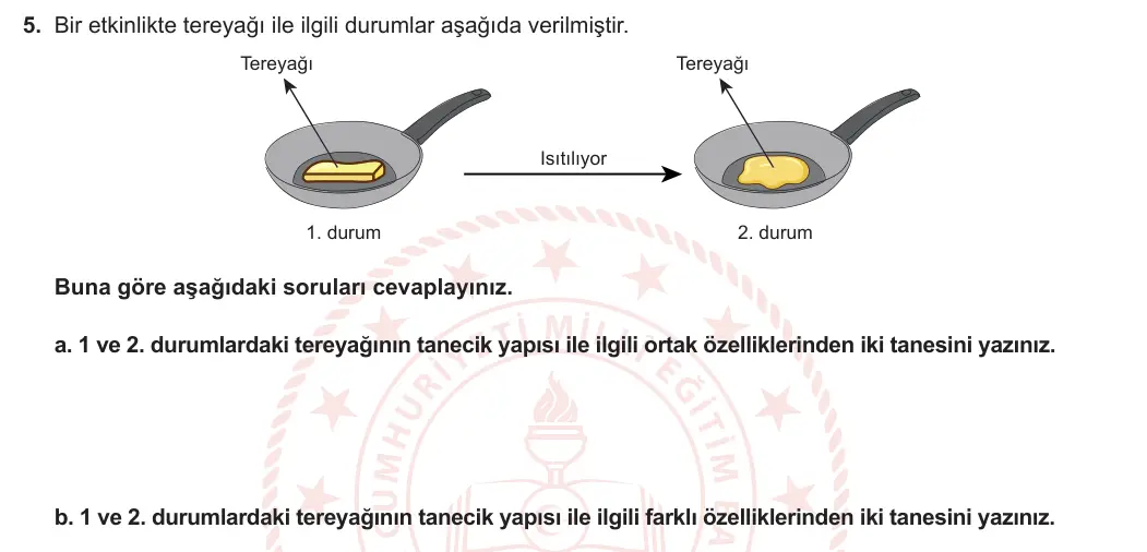 6. Sınıf Fen Bilimleri 2024-2025 1. Dönem 2. Yazılı 5. Soru görseli