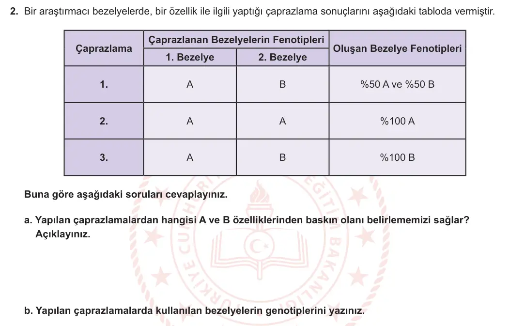 8. Sınıf Fen Bilimleri 2024-2025 1. Dönem 2. Yazılı 2. Soru görseli (1/2)