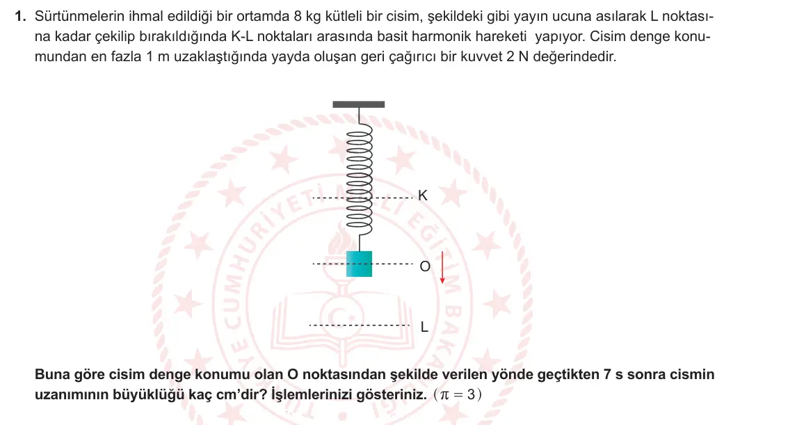 12. Sınıf Fizik 2024-2025 1. Dönem 2. Yazılı 1. Soru görseli