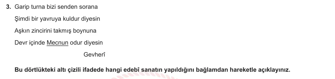 10. Sınıf Türk Dili ve Edebiyatı 2024-2025 1. Dönem 2. Yazılı 3. Soru görseli (1/2)