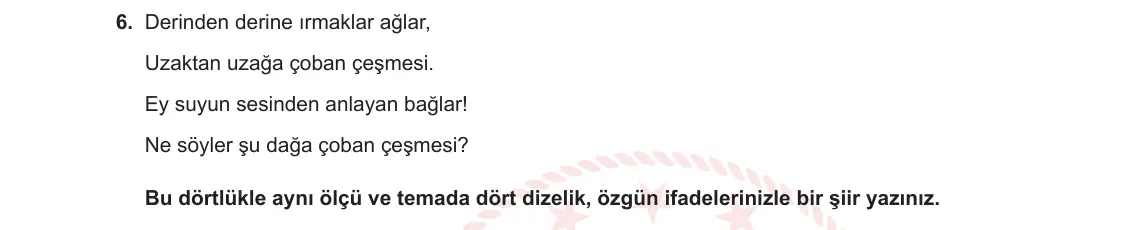 11. Sınıf Türk Dili ve Edebiyatı 2024-2025 1. Dönem 2. Yazılı 6. Soru görseli