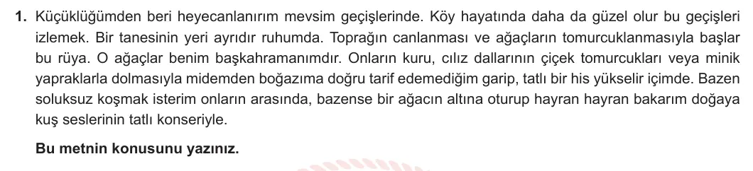 8. Sınıf Türkçe 2024-2025 1. Dönem 2. Yazılı 1. Soru görseli