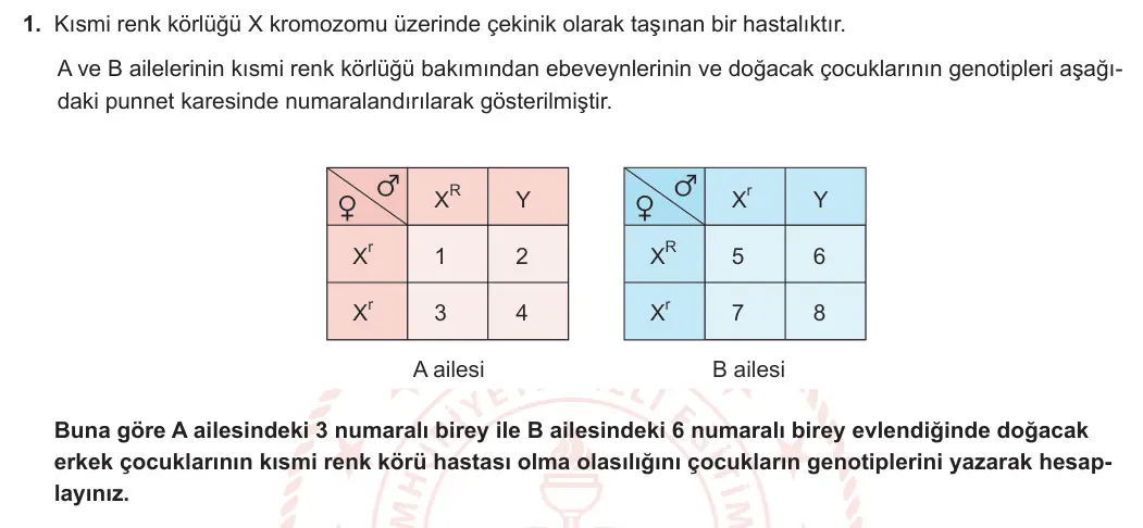 10. Sınıf Biyoloji 2024-2025 2. Dönem 1. Yazılı 1. Soru görseli (1/2)