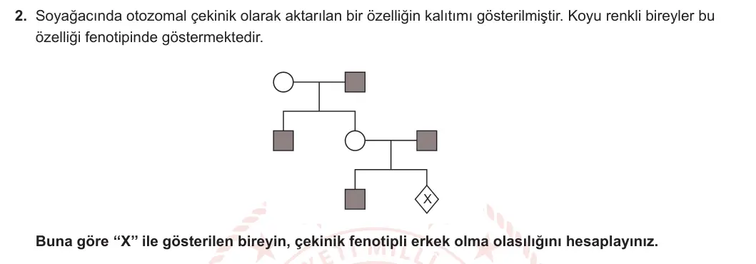 10. Sınıf Biyoloji 2024-2025 2. Dönem 1. Yazılı 2. Soru görseli