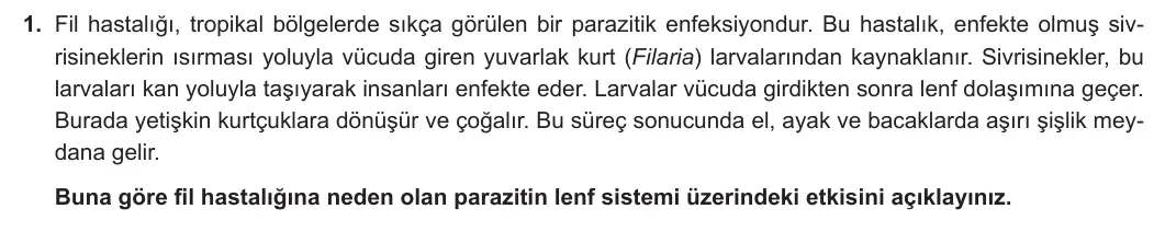 11. Sınıf Biyoloji 2024-2025 2. Dönem 1. Yazılı 1. Soru görseli