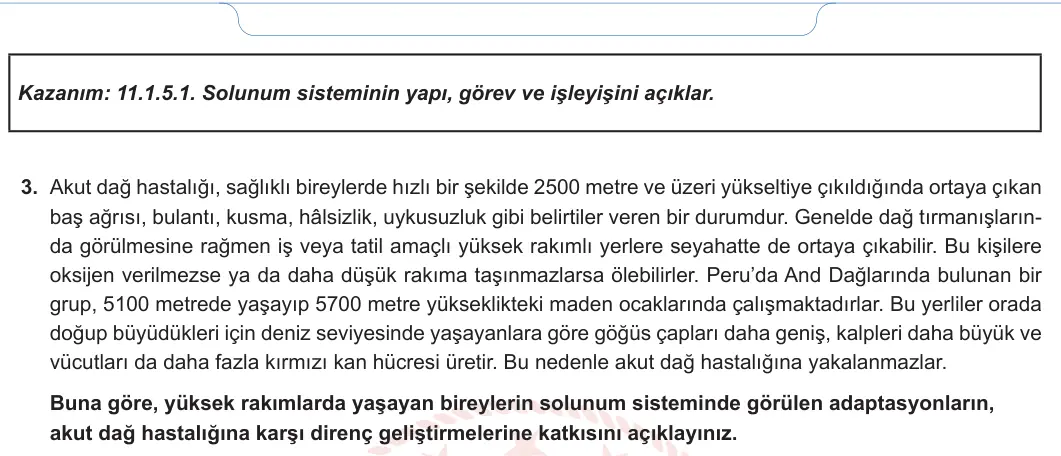 11. Sınıf Biyoloji 2024-2025 2. Dönem 1. Yazılı 2. Soru görseli (2/2)