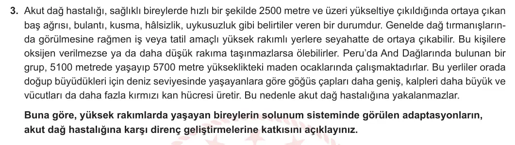 11. Sınıf Biyoloji 2024-2025 2. Dönem 1. Yazılı 3. Soru görseli