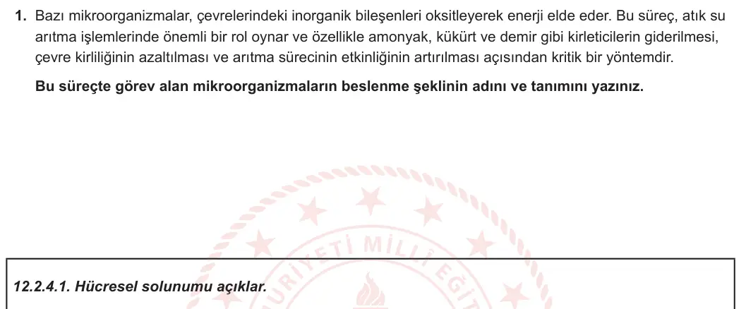 12. Sınıf Biyoloji 2024-2025 2. Dönem 1. Yazılı 1. Soru görseli