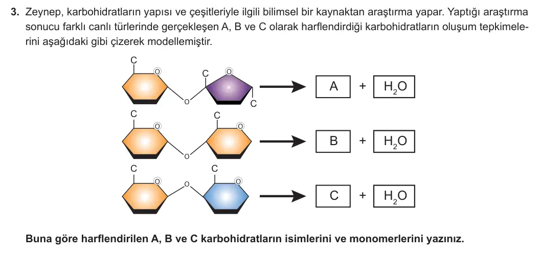 9. Sınıf Biyoloji 2024-2025 2. Dönem 1. Yazılı 3. Soru görseli