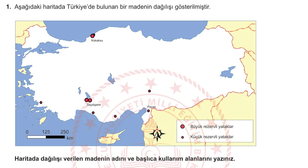 11. Sınıf Coğrafya 2024-2025 2. Dönem 1. Yazılı 1. Soru görseli (1/2)