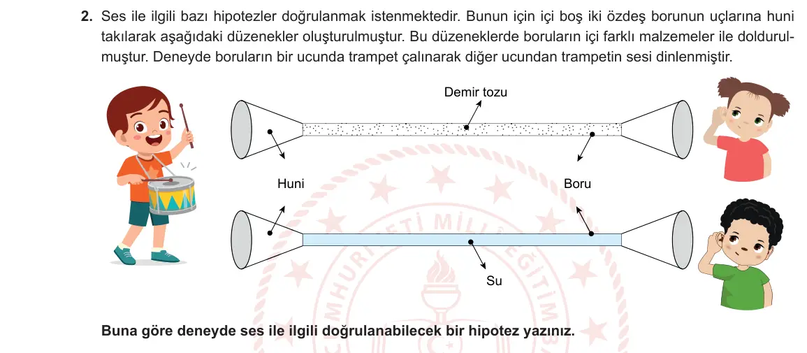 6. Sınıf Fen Bilimleri 2024-2025 2. Dönem 1. Yazılı 2. Soru görseli