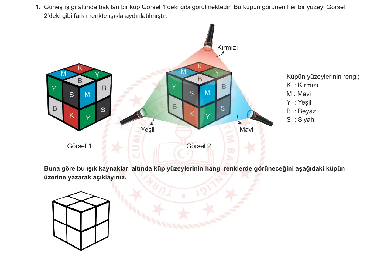 7. Sınıf Fen Bilimleri 2024-2025 2. Dönem 1. Yazılı 1. Soru görseli (1/2)