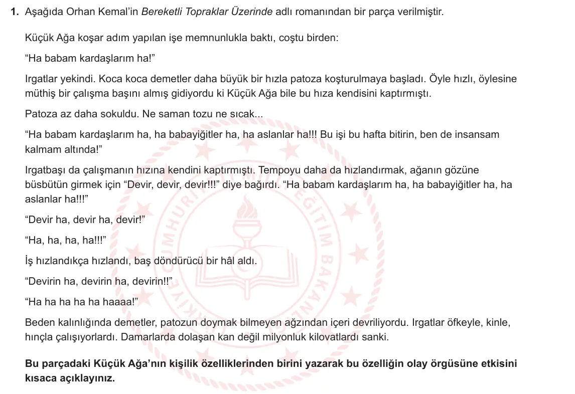 11. Sınıf Türk Dili ve Edebiyatı 2024-2025 2. Dönem 1. Yazılı 1. Soru görseli