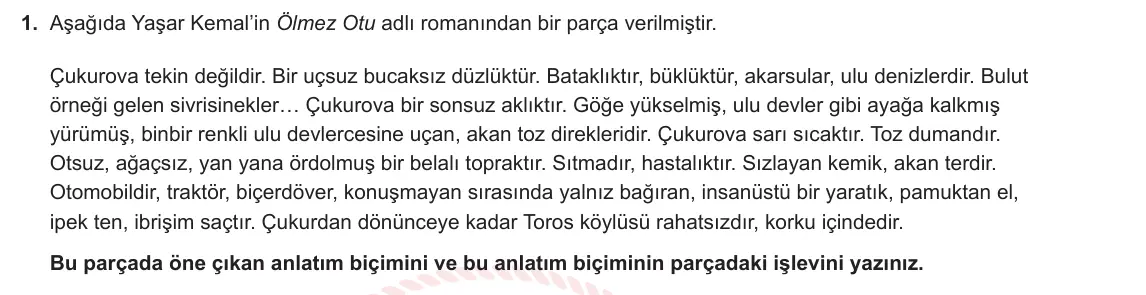 12. Sınıf Türk Dili ve Edebiyatı 2024-2025 2. Dönem 1. Yazılı 1. Soru görseli