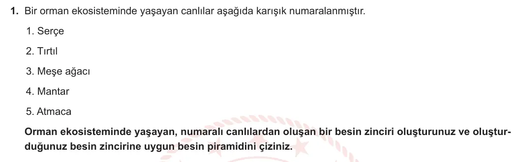10. Sınıf Biyoloji 2024-2025 2. Dönem 2. Yazılı 1. Soru görseli (1/2)