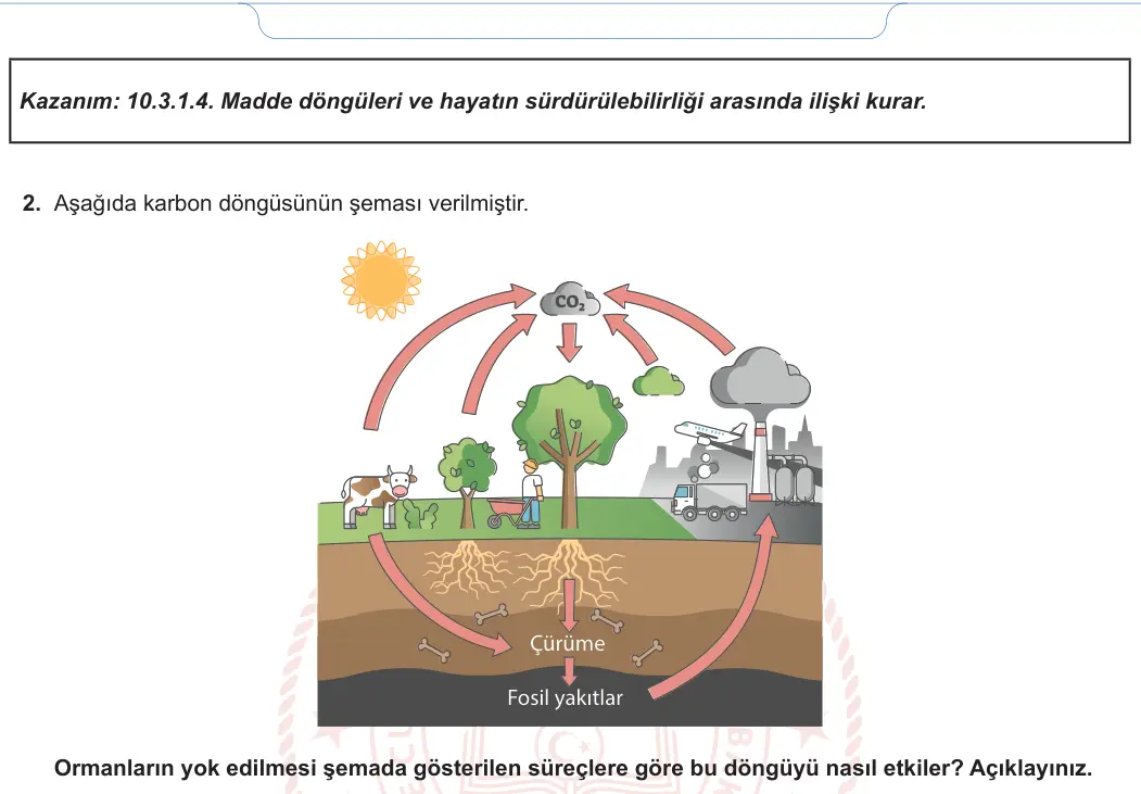10. Sınıf Biyoloji 2024-2025 2. Dönem 2. Yazılı 1. Soru görseli (2/2)