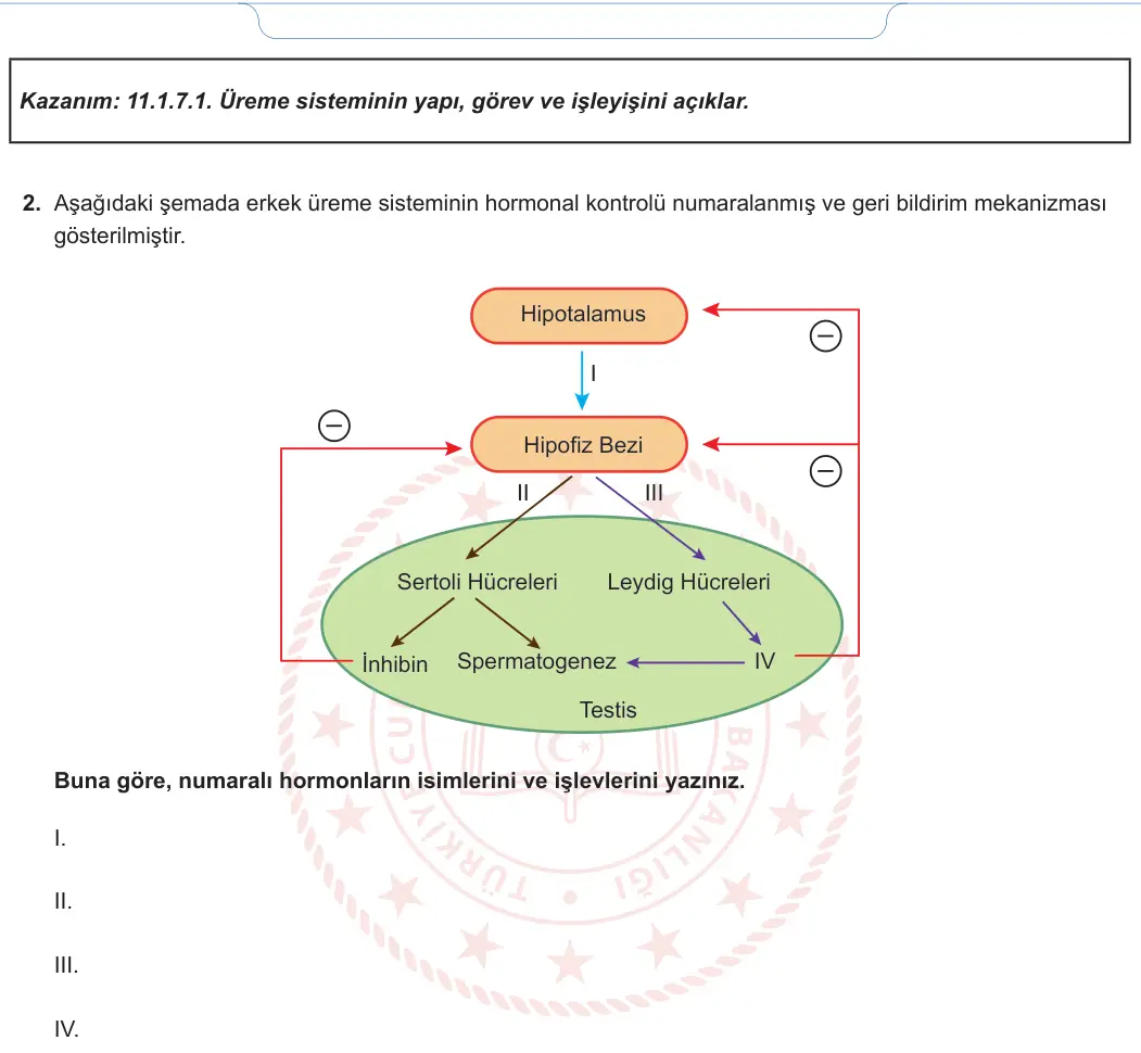 11. Sınıf Biyoloji 2024-2025 2. Dönem 2. Yazılı 1. Soru görseli (2/2)