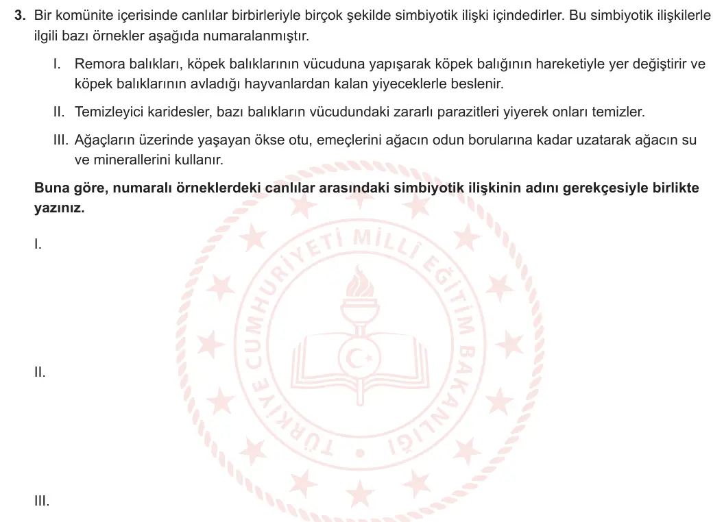 11. Sınıf Biyoloji 2024-2025 2. Dönem 2. Yazılı 3. Soru görseli