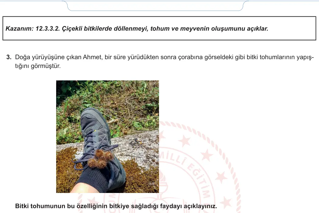 12. Sınıf Biyoloji 2024-2025 2. Dönem 2. Yazılı 2. Soru görseli (2/2)
