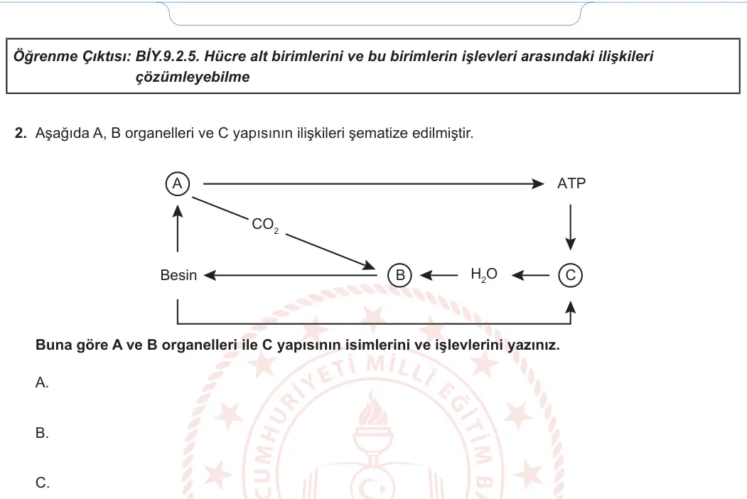 9. Sınıf Biyoloji 2024-2025 2. Dönem 2. Yazılı 1. Soru görseli (2/2)
