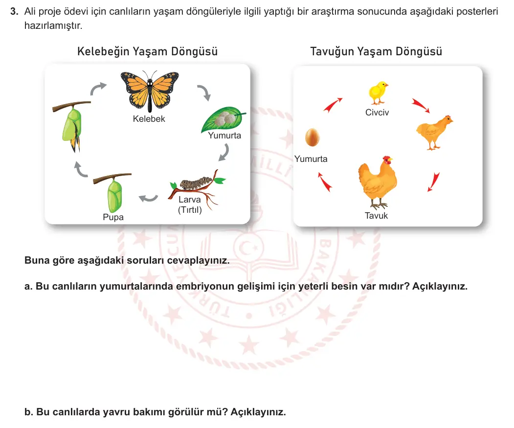 7. Sınıf Fen Bilimleri 2024-2025 2. Dönem 2. Yazılı 3. Soru görseli