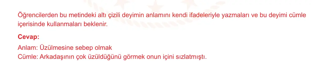7. Sınıf Türkçe 2024-2025 1. Dönem 2. Yazılı Ortak Sınav 2. Soru (Öğle Oturumu, Özgün ders kitabı) resmi çözüm görseli