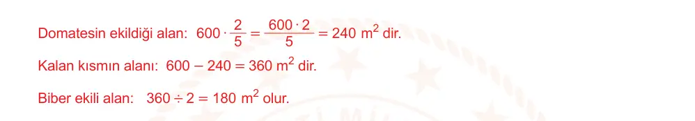 6. Sınıf Matematik 2024-2025 2. Dönem 1. Yazılı Ortak Sınav 1. Soru (Öğle Oturumu, Mazeret Sınavı) resmi çözüm görseli
