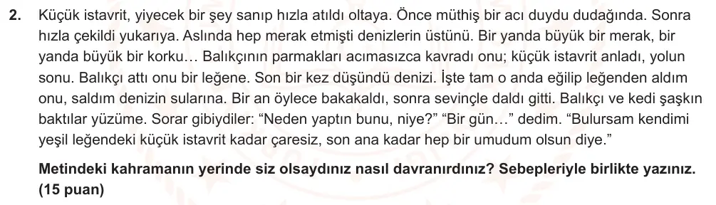 6. Sınıf Türkçe 2024-2025 2. Dönem 1. Yazılı Ortak Sınav 2. Soru (Öğle Oturumu, Yıldırım ders kitabı) görseli