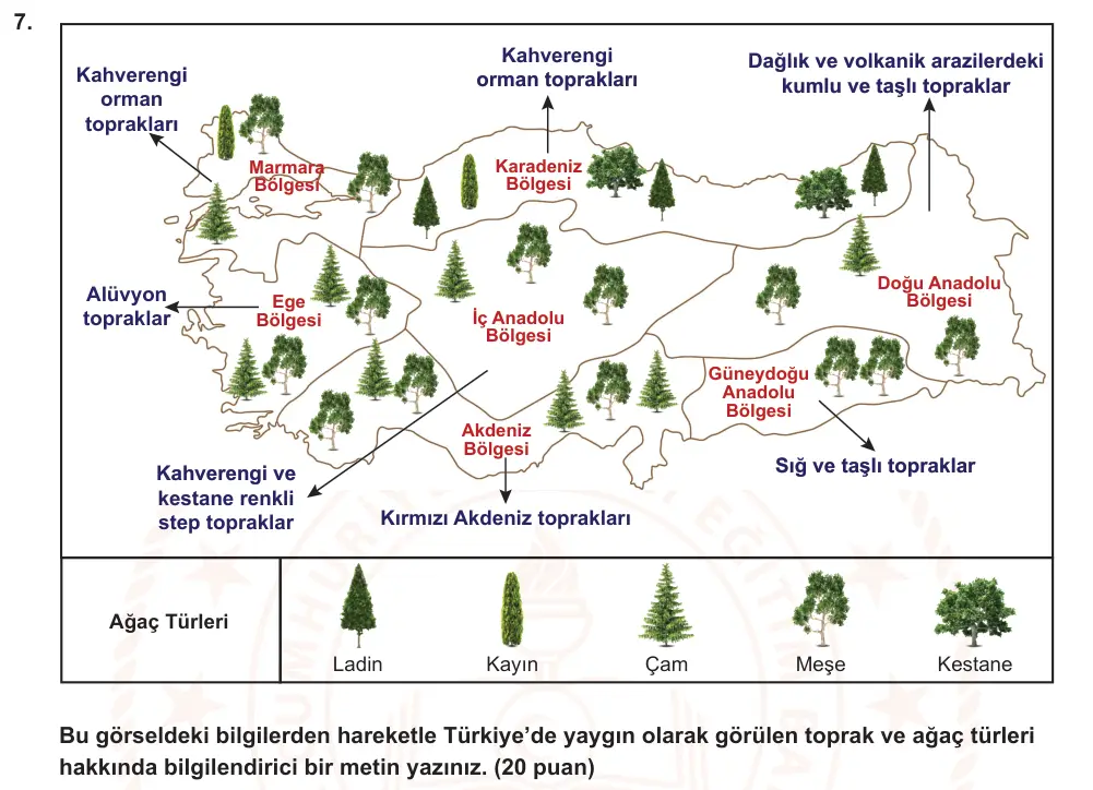 6. Sınıf Türkçe 2024-2025 2. Dönem 1. Yazılı Ortak Sınav 7. Soru (Öğle Oturumu, Yıldırım ders kitabı) görseli